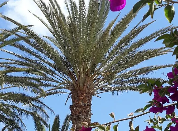 Framantis App No 6 Appartement