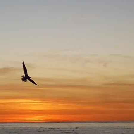 Framantis App No 6 * Costa Calma