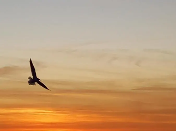 Framantis App No 6 * Costa Calma