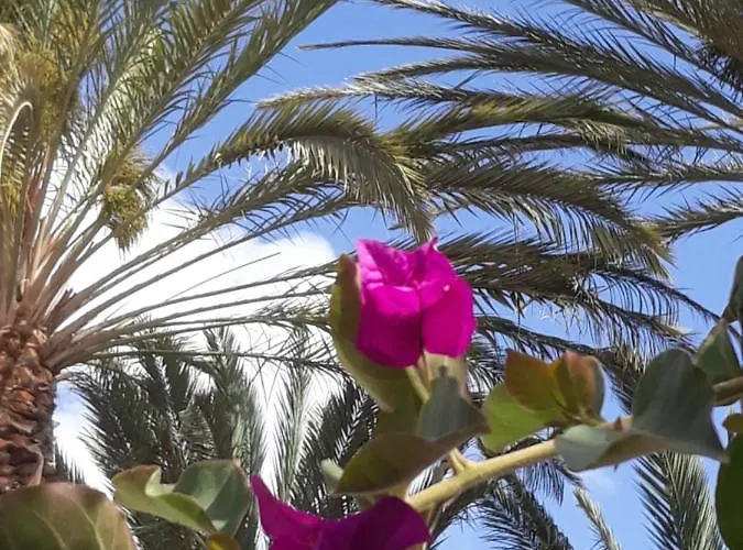 Framantis App No 6 * Costa Calma